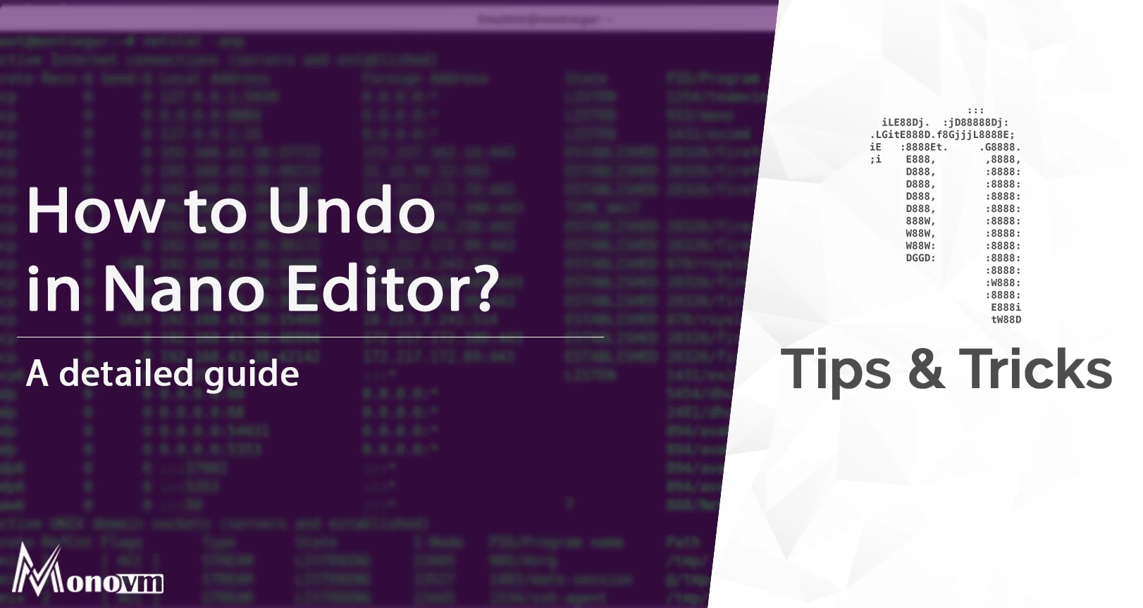 How to Undo in Nano Editor [Nano Undo Command]