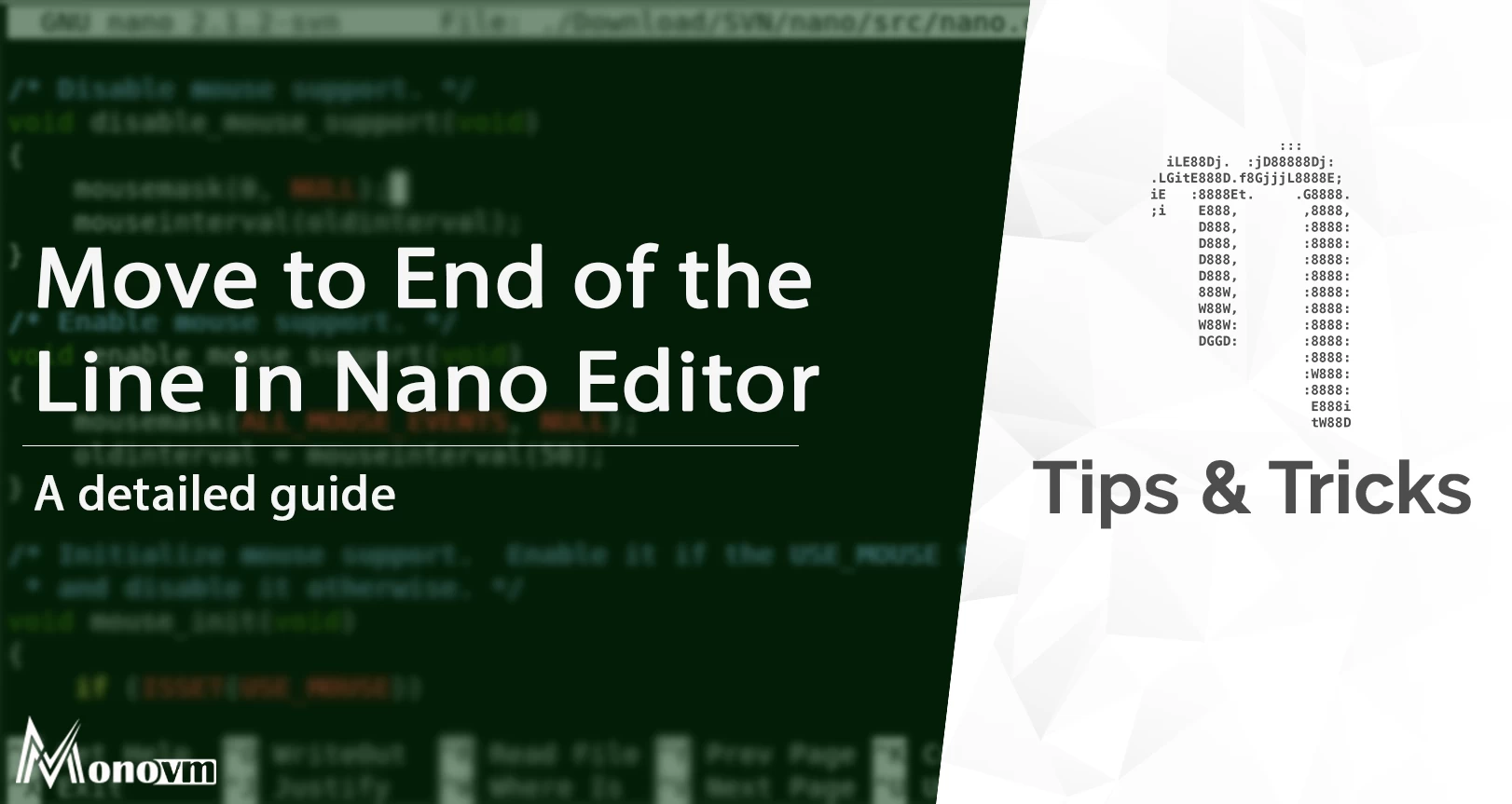 How to Move End of the Line in Nano? [Go to End of File]