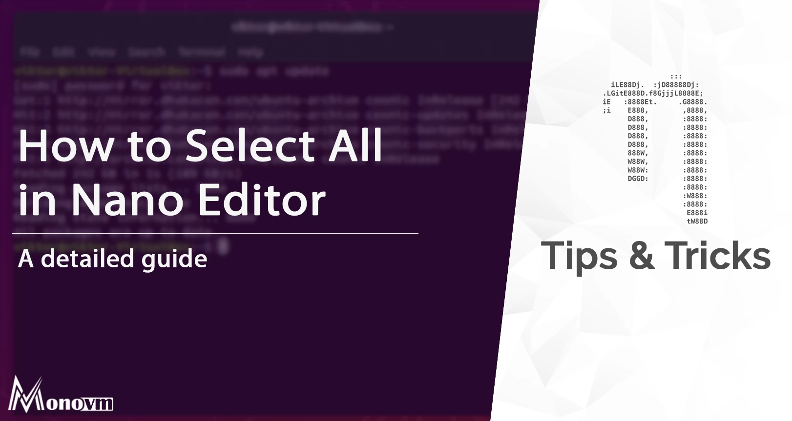 How to Select All in Nano Editor | Nano Select all