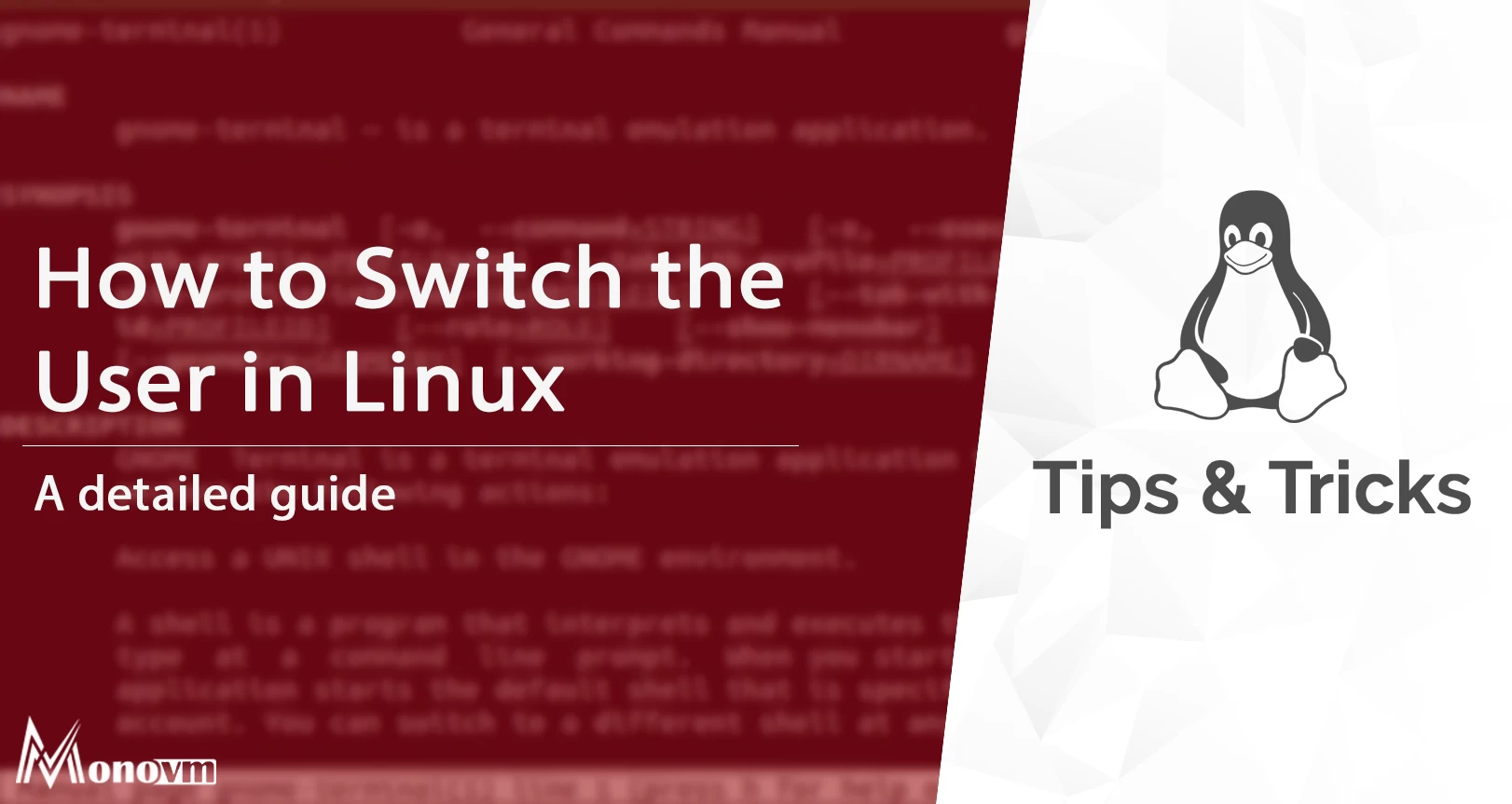 How to Switch User in Linux [SU Command in Linux]
