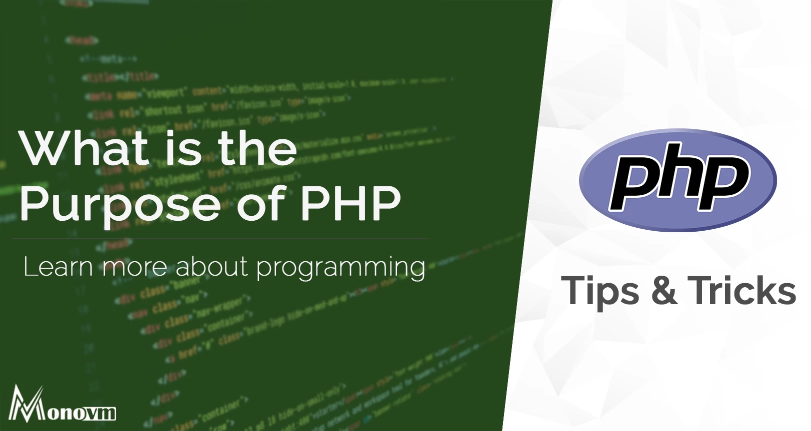 What is the Purpose of PHP?