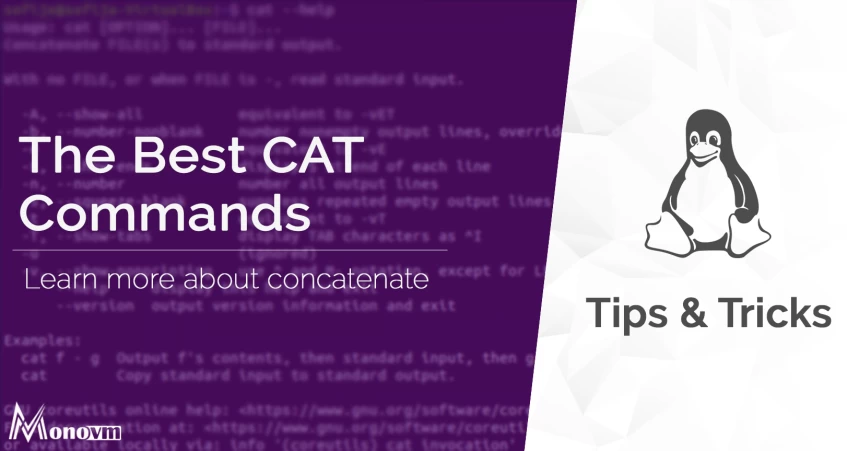 CAT Command in linux with examples [Updated] - 2022
