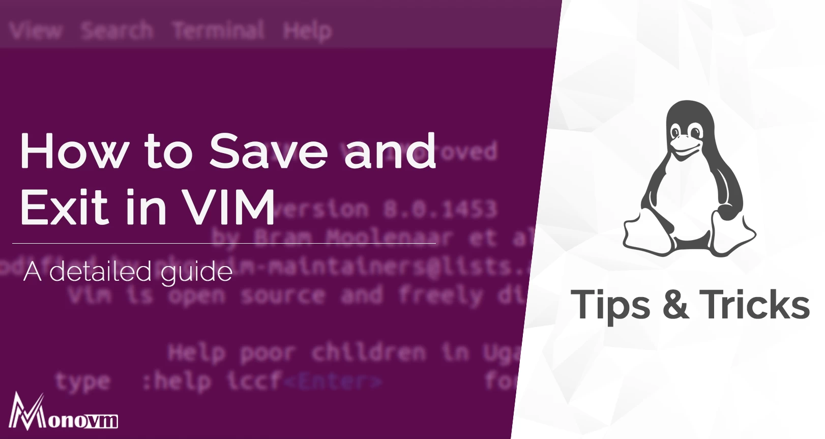 How to Vim Save/Vim Exit/Quit in Editor? [VIM Save and Exit]