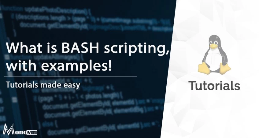 What is Bash Script Examples?