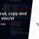 How to copy, cut and paste in Vim/Vi editor