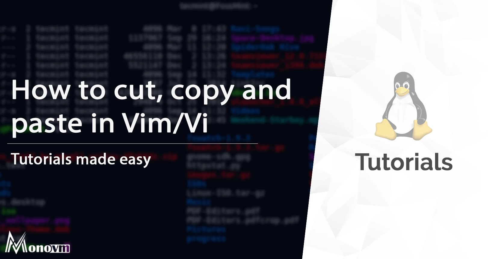 How to copy, Cut and Paste in Vim/Vi Editor? [VIM Copy Paste]