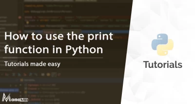 How to use the print function in Python
