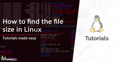 How to find the file size in Linux