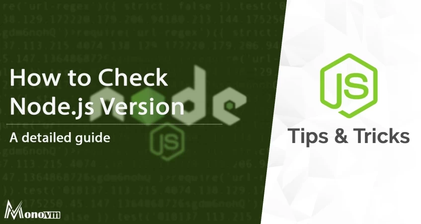 How to Check Node Version? [Check Node JS Version]