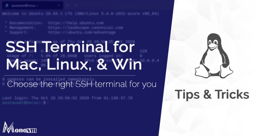 SSH Terminal for Mac/Windows/Linux [Best SSH Client]